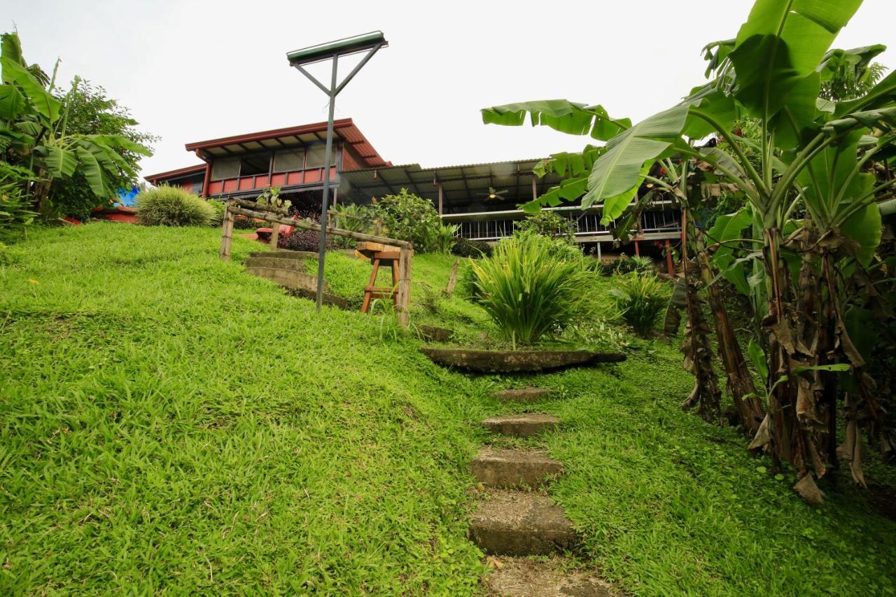 Toucan Lane Hotel And Restaurant Nuevo Arenal Exteriör bild